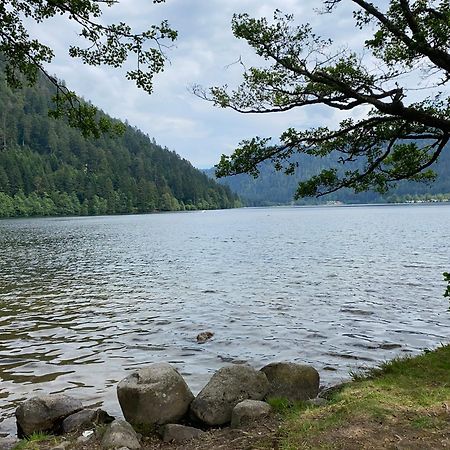 ג'רארדמר Charmant Chalet, Spacieux, Proche Du Lac, Vue Sur La Montagne מראה חיצוני תמונה