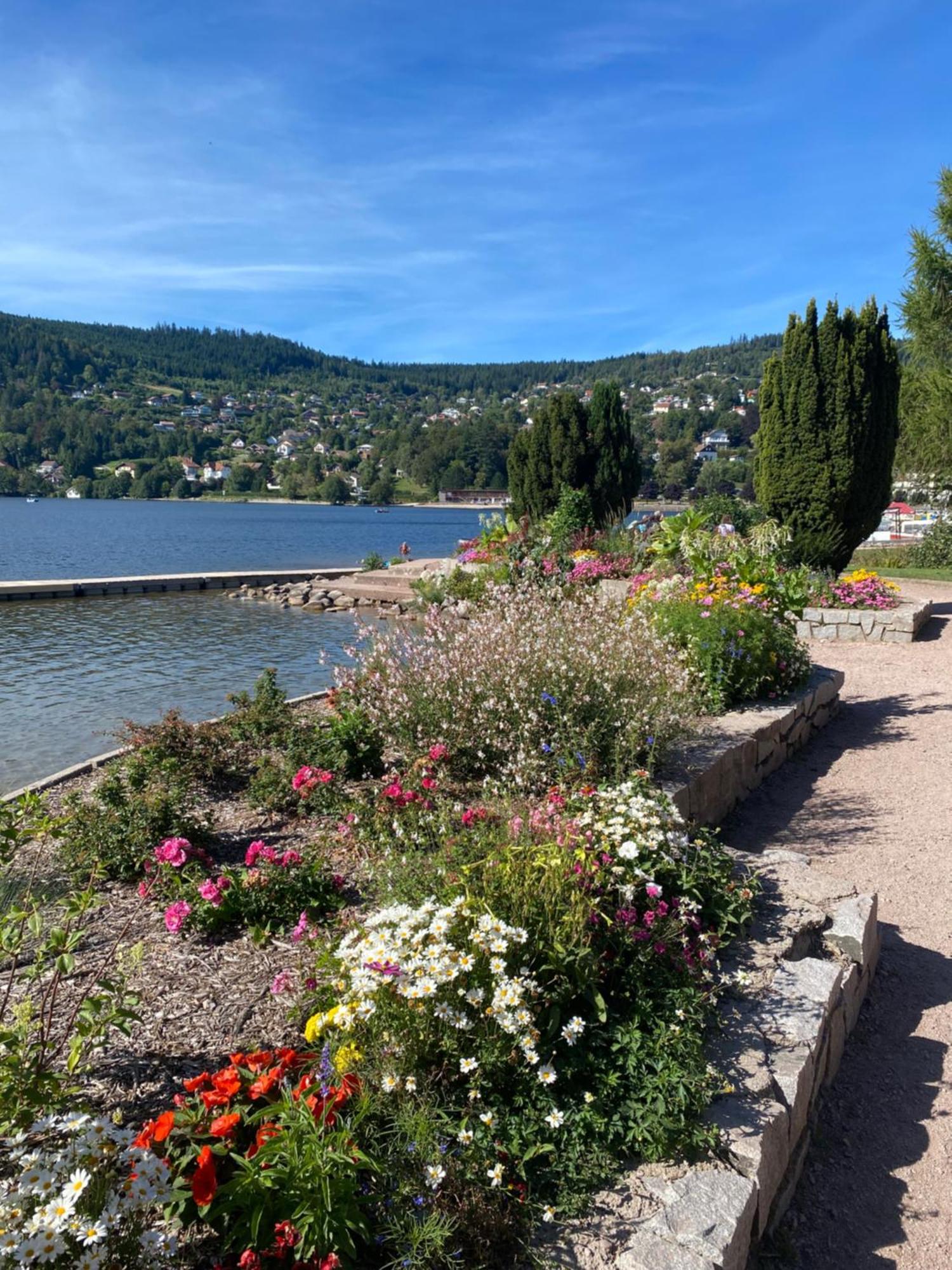 ג'רארדמר Charmant Chalet, Spacieux, Proche Du Lac, Vue Sur La Montagne מראה חיצוני תמונה
