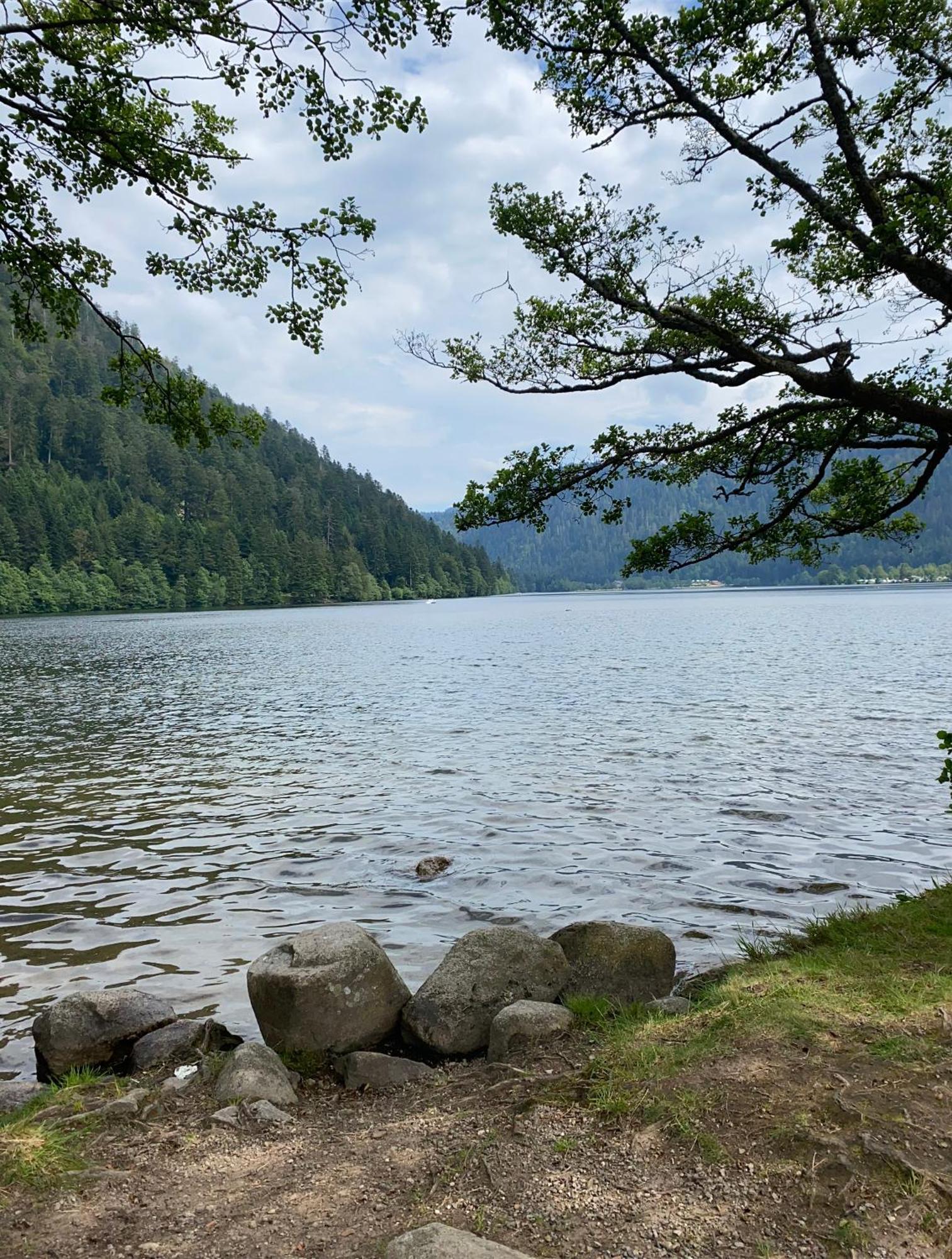 ג'רארדמר Charmant Chalet, Spacieux, Proche Du Lac, Vue Sur La Montagne מראה חיצוני תמונה